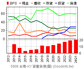 (5906)台南-KY 資產負債(個別)