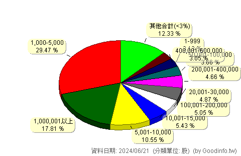 (6243)迅杰 股東持股分級圖