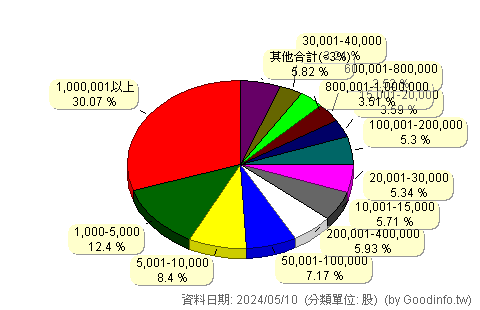 (6266)泰詠 股東持股分級圖