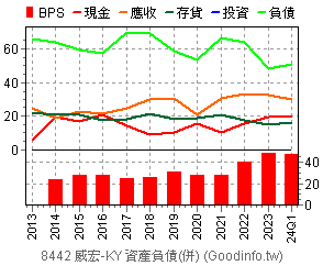 (8442)威宏-KY 資產負債(合併)